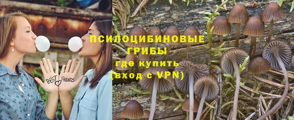 прущая мука Алзамай