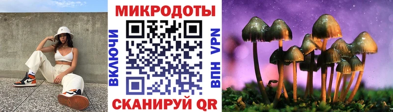 Псилоцибиновые грибы Cubensis  Чистополь 