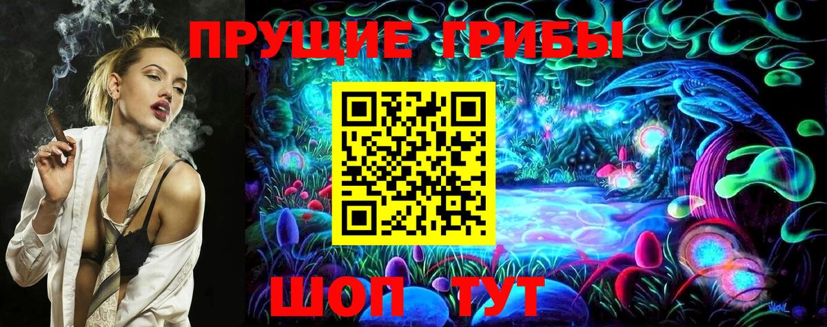 Чистополь  Псилоцибиновые грибы Magic Shrooms  Вход с VPN 