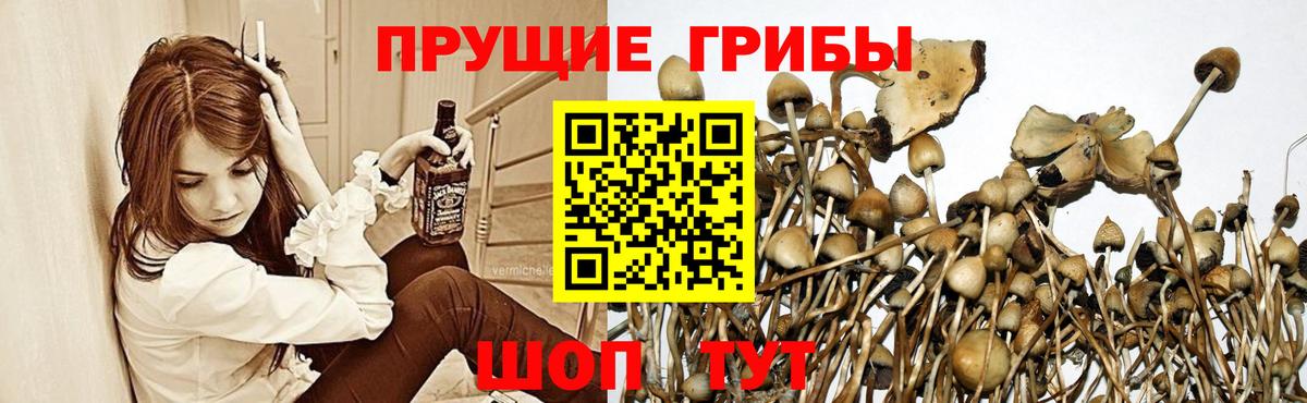 Галлюциногенные грибы мицелий Чистополь